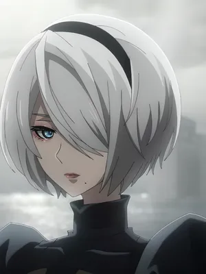 2B