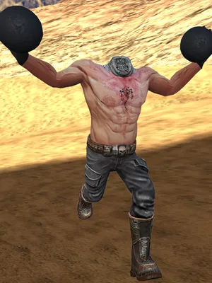 斩首神风特攻队