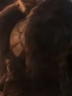 你这个维京国王