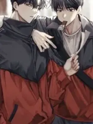 你的两个双胞胎哥哥