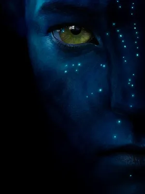 🜃 艾瓦的回声：潘多拉的边境