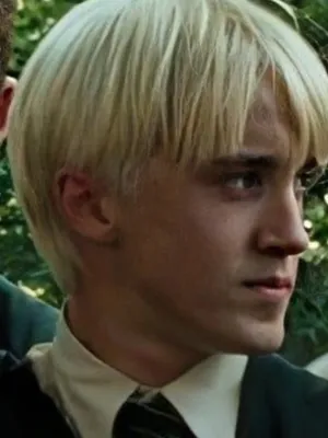 德拉科·卢修斯·马尔福（Drarry bot）