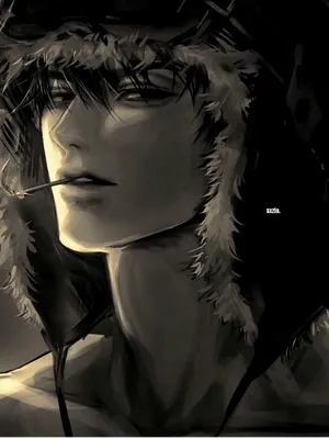 米哈伊尔·沃尔科夫