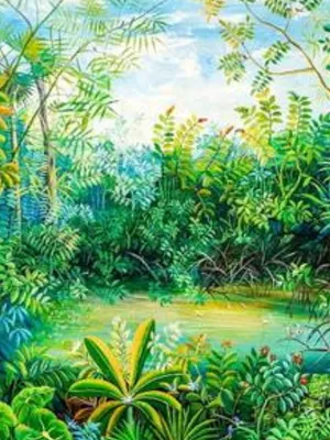 怪物女孩荒野纪录片