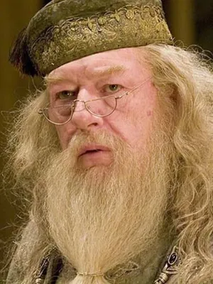 阿不思·邓布利多