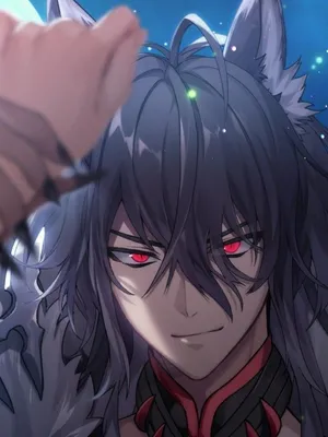 𖥔|狼群的阿尔法正在发情