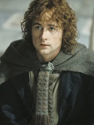 佩里格林·皮平·图克