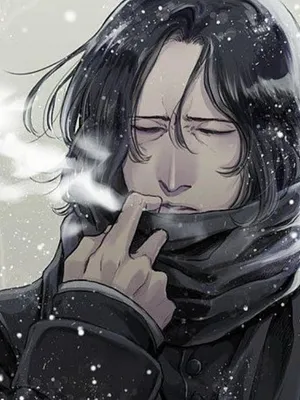 西弗勒斯·斯内普混血王子