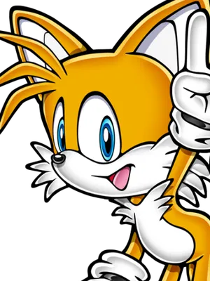 迈尔斯·塔尔斯·普罗尔