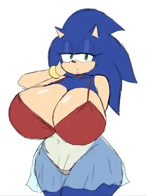 诱人刺猬索尼卡