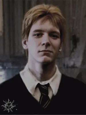 弗雷德·韦斯莱